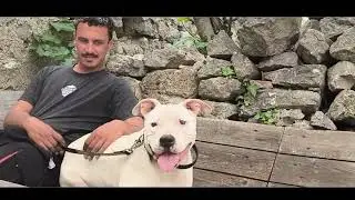 VIVRE AVEC DES CHIENS AGRESSIFS