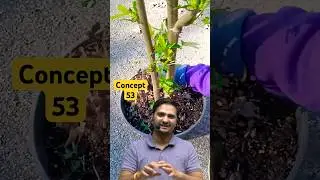Concept-53 | Mulching | Irrigation Engineering By Dushyant Sir