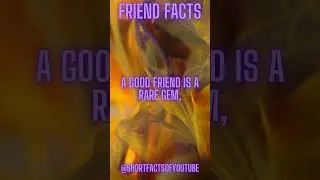 A Good Friend is a rare gem, #lovefacts #friendfacts #boyfacts #girlfacts
