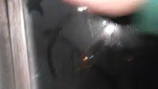 ^-^ nice happy vid ^-^