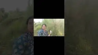 mulmul keku hasni che tu he kule ki daali #shrot