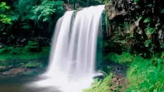 Natural features