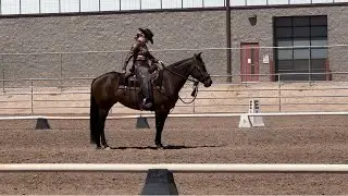 Western Dressage Basic Test 3