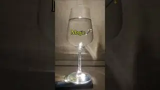 Магия вне Хогвартса✨️ #trend #viral #magic #shorts #trending #magic  #bartender #memeedit