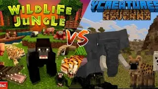 jungle wildlife VS ycreatures savana