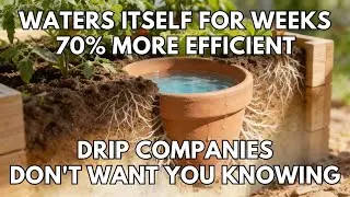 Forget Watering Your Garden for Weeks With This 4,000-Year-Old System