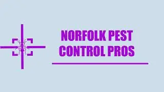 Norfolk Pest Control Pros - Cockroach Control Service in Norfolk VA