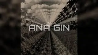 Tophood$ - ANA GIN