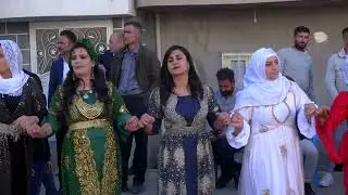 Yiğit Ailesi Düğünü - Silopi Part  8