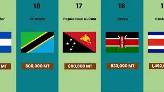 Biggest Coffee Producing Countries | Top 20