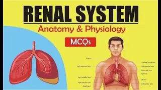 RENAL SYSTEM MCQs | GPAT-2020 | RAILWAY PHARMACIST | NIPER | PHARMACIST EXAM
