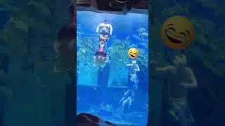 Astonishing  Mermaid Show by a fat man 胖胖美人鱼意外爆火 #mermaid #美人鱼