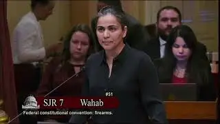 California state Sen. Aisha Wahab on gun violence and its affects on her own life