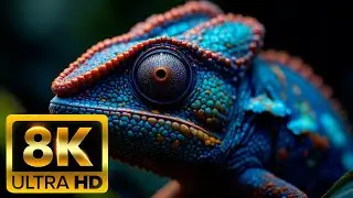 Breathtaking Wildlife Moments in 8K Ultra HD &ndash; Nature Film for Big Screens