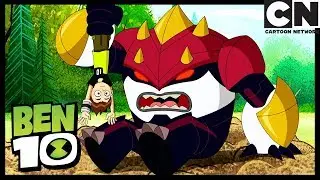 Ben 10 Po Polsku | Słodkie życie bohatera | Cartoon Network