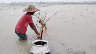 Awesome Fishing! Eel Fish Catching Trap By Bamboo Container In Raining| Eel Fish| Catching Fish
