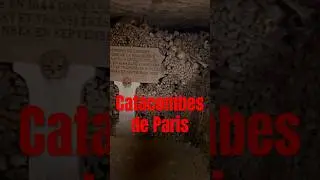 Catacombes de Paris #catacombs #catacomb #friedhof #underground #verlassen #paris #tomb #short