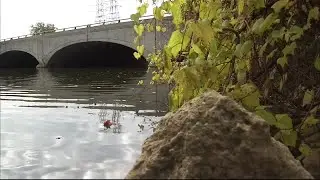 Nessel issues order against company for Flint River chemical spill