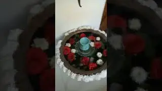 decoration for house warming # home decor # urli decoration ideas# decoration for festivals