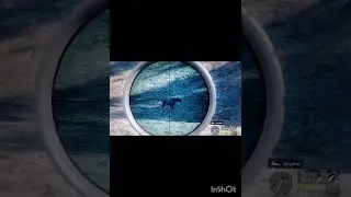 //Insane glitch in Hunter call of the wild//#the Hunter call of the wild