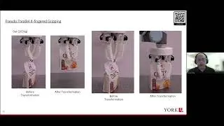 IR: Modular Bio-Inspired Soft Robots Design for Adaptive Locomotion and Manipulation
