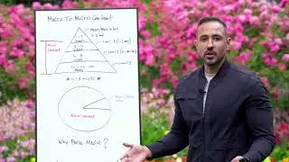 Macro To Micro Content Model