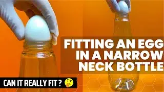 Egg in the Bottle | Air Pressure | SolutionInn