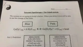 Dynamic equilibrium-cobalt system