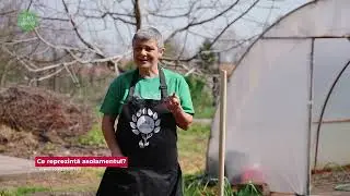 🌱 Înființarea culturii de fasole – Evită greșelile comune! ❌