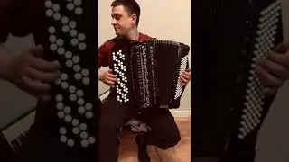 Bugari Armando Шикарный баян! Лёгкий! Голоса aMano