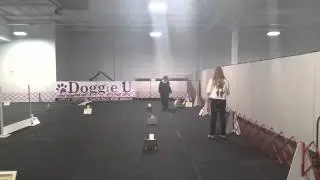 Dickson's AKC Rally Excellent B Trial - AM on 2.8.2015