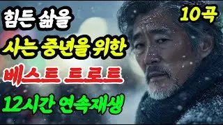 🎵중년의 인생을 술 한잔으로 위로하는 인생 트로트｜중년감성 12시간 연속재생