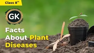 Important Facts About Plant Diseases | Class 8 General Knowledge | 2024-25