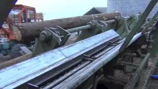 Entrindung