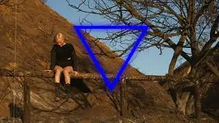 Vesala - Puisia taloja