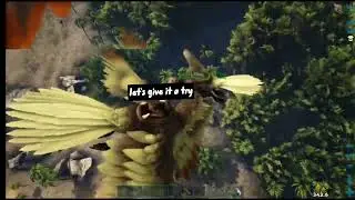 Ark mlg
