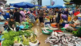 Cambodia&rsquo;s Biggest Fish Markets Incredible Seafood & Vibrant Local Culture