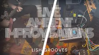 A Flow into Fall | Ambient Guitar Improvisation | Live Looping with SP404 & Digitakt
