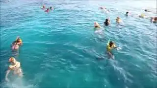 Key West Snorkeling & Sunset Cruise with Fury Water Adventures