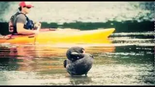 Riot Kayaks' Edge 11