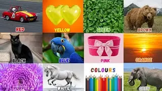 We Love All the Colors |Learn English Colors |Nursery Rhymes & Kids Song |Child Education Color Song