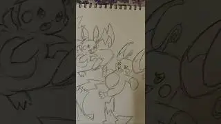Raichu X and Raichu Y !!!! | #arthashira #art #pokemon #colour