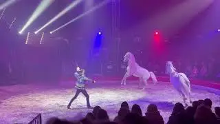 Magyar Nemzeti Cirkusz, Lendület #circus