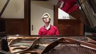 Michael Andreas Beethoven Fur Elise.