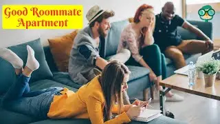 How to Be a Good Roommate in an Apartment? Qualities of a Good Roommate