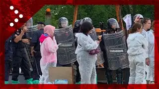 Peste suina, Carabinieri antisommossa sgomberano attivisti da rifugio 