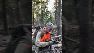 N THE ELK WOODS #elk #hunting #colorado #meat