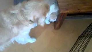 Bennie & The Jet Tug of War