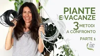 Innaffiare le piante in casa durante le vacanze
