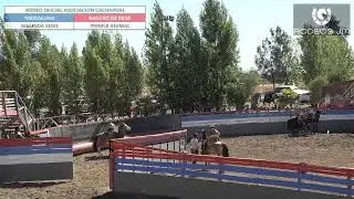 RODEO OFICIAL ASOCIACION CACHAPOAL - SEGUNDA SERIE